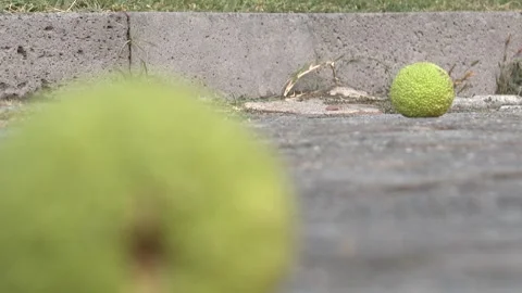 A fruit on the floor 2 Stock Footage 311645244