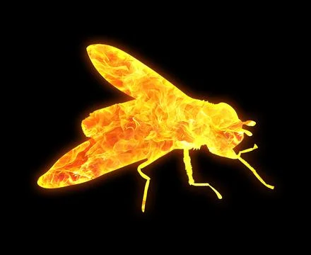 Fruit fly outline with a bright fire pattern isolated on a black background Illustrazione stock