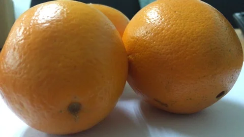 Fruit Stock Footage 106663640