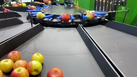 Fruit grading machine sorting apples by size on production line Stock Footage 310259192