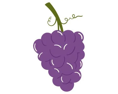 Fruit grape in cartoon hand drawn simple style. Editable variable color. Stock Illustration