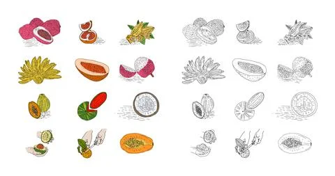 Fruit hand drawn style vector set. Stock Illustration