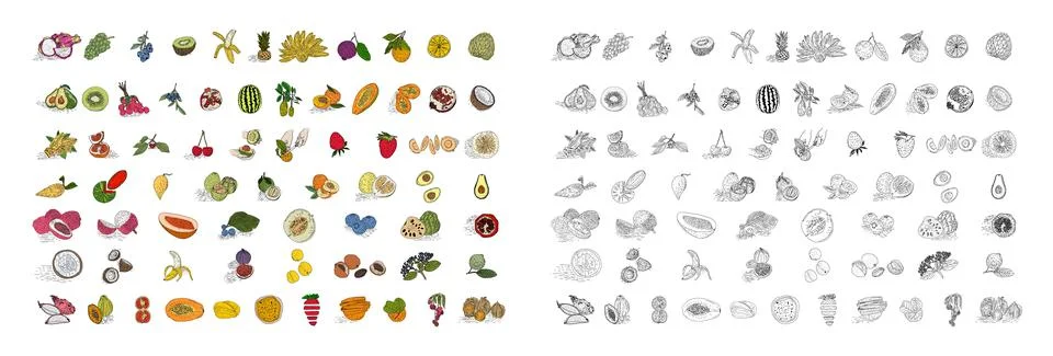Fruit hand drawn style vector set. Stock Illustration