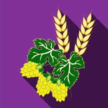 Fruit hops and ears of barley on a purple background with long shadow. The sy Stock Illustration