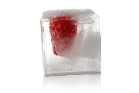 Fruit in ice cube Stock Photos