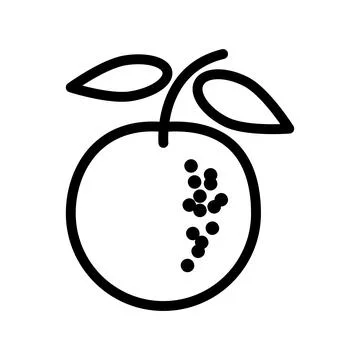 Fruit icon Stock Illustration