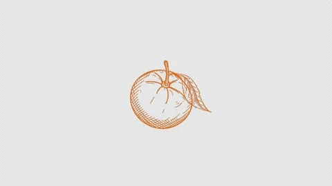 Fruit icon loop Animation video transparent background with alpha channel Stock Footage 234064011