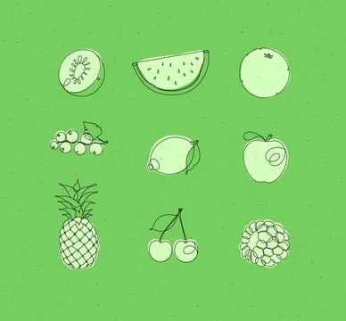 Fruit icons in linear style green イラスト素材