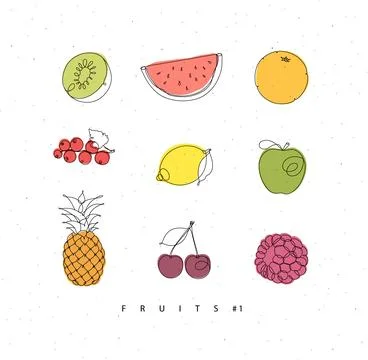 Fruit icons in linear style イラスト素材