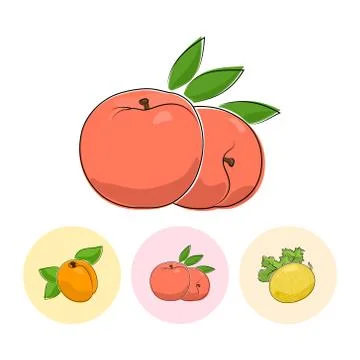Fruit Icons, Peach, Apricot,  Melon Stock Illustration