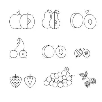 Fruit icons, thin line style, flat design Stock Illustration