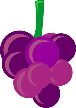 Fruit イラスト素材