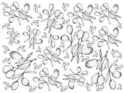 Fruit, Illustration Background Pattern of Hand Drawn Sketch Delicious Fresh O Stock Illustration
