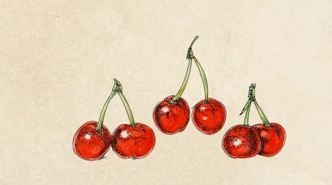Fruit, illustration of cherries Illustrazione stock