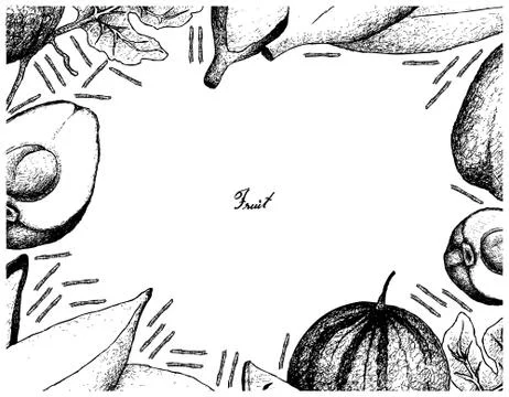 Fruit, Illustration Frame of Hand Drawn Sketch of Fresh Pomerac, Sugar Baby W Stock Illustration