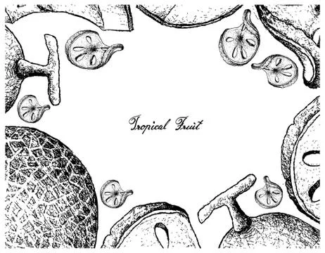 Fruit, Illustration Frame of Hand Drawn Sketch of Bael and Melon Isolated on Stock Illustration