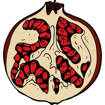 Fruit illustration Stock Illustration