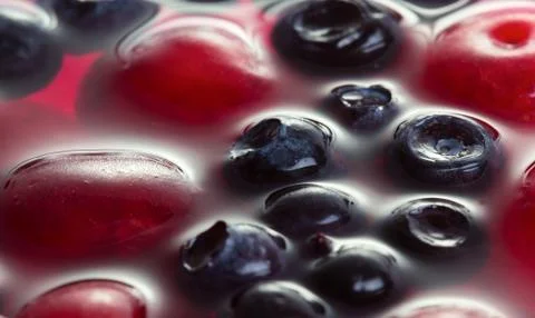 Fruit jelly Stock Photos