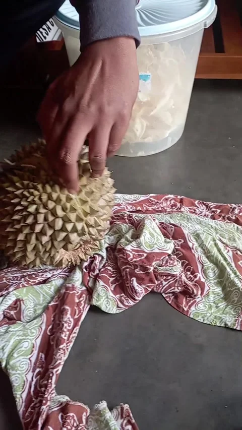 Fruit "king of fruit" Stock Footage 232844729