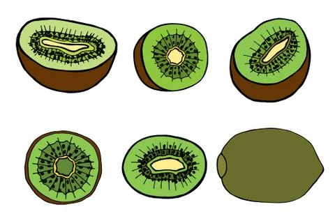 Fruit kiwi Stock Illustration
