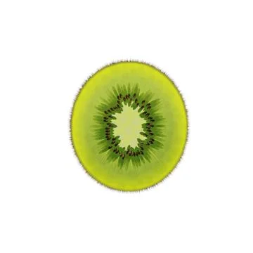 Fruit kiwi, vector illustration on white background Stock Illustration