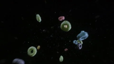 Fruit Loops cereal breakfast falls into frame with black background, 2 clips Stock Footage