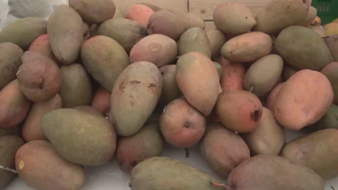 Fruit mango on stall . Video stock 194319522