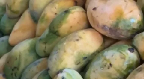 Fruit Mango On Stall . Stock Footage 199509443