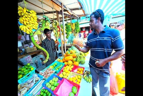 Fruit  market Video stock 7745849