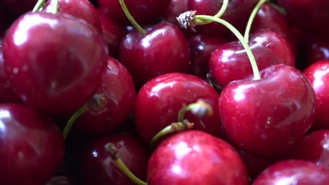Fruit  Market Stock Footage 198426292