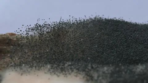 Fruit with mold Stock-Footage 347177737