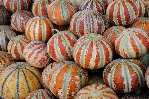 Fruit, Musk melon, India Foto stock