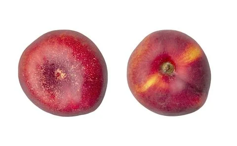 Fruit nectarine on white background Stock Photos