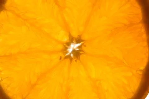 Fruit, One Orange Slice on white background Stock Photos