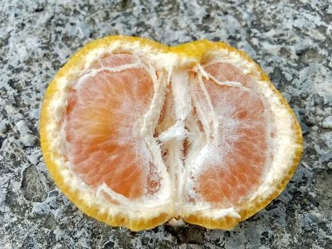 Fruit orange has opened Stock Photos