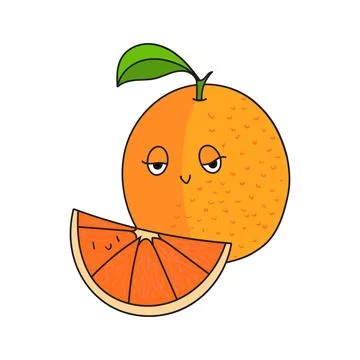 Fruit orange vector illustration Stock Illustration