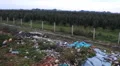 fruit orchard  near dump trash by the road HD 동영상