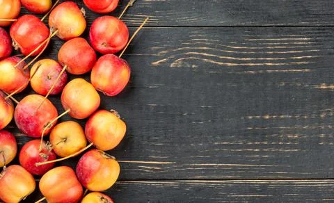 Fruit paradise apple Stock Photos