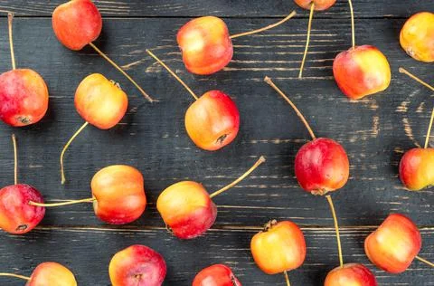 Fruit paradise apple Stock Photos
