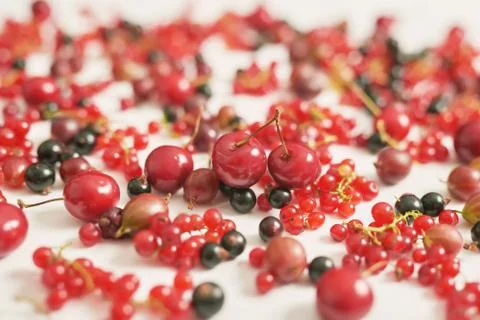 Fruit pattern of colorful fresh berries on white background. Top view. Flat l Stock Photos