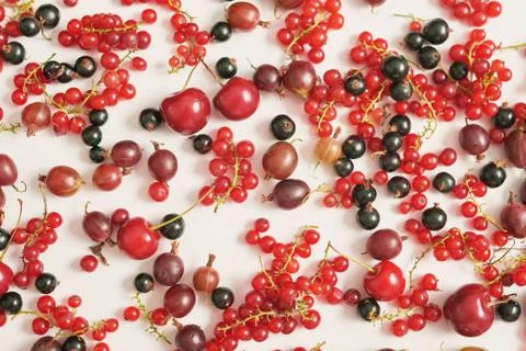 Fruit pattern of colorful fresh berries on white background. Top view. Flat l Stock Photos