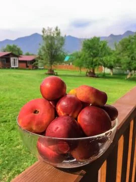 Fruit peaches Stock Photos