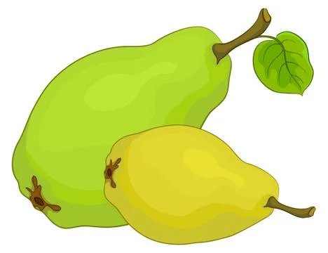 Fruit, pears Stock Illustration