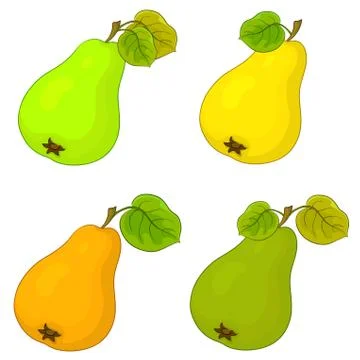 Fruit, pears Stock Illustration