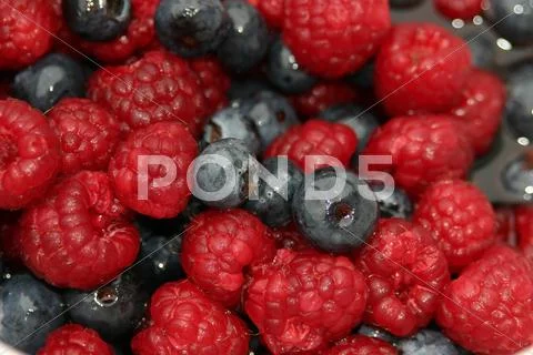 Fruit Stock Photos