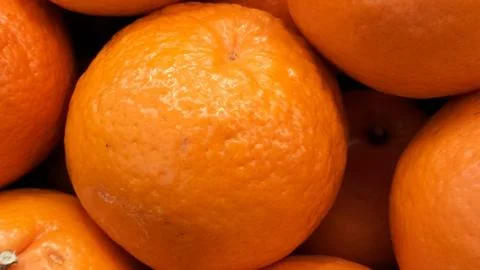 Fruit 스톡 사진