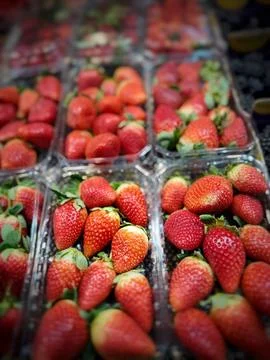 Fruit photo 库存照片