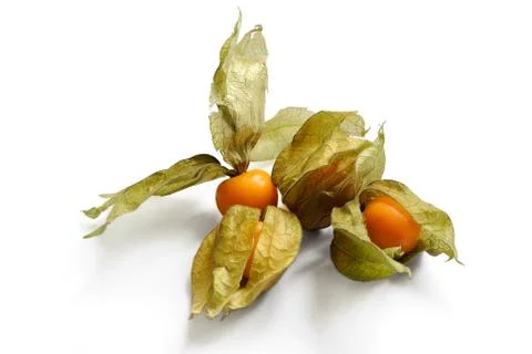Fruit of Physalis. Stock Photos