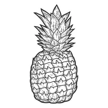 Fruit pineapple. Sketch scratch board imitation. Black and white. Stock Illustration