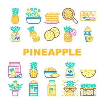 Fruit pineapple slice cut food icons set vector 스톡 일러스트